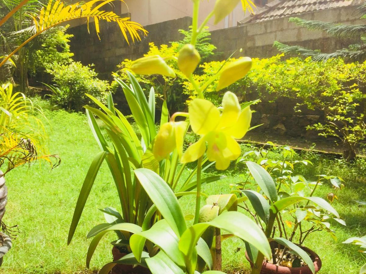 קובאלאם Ganesh House Ayurveda Homestay מראה חיצוני תמונה